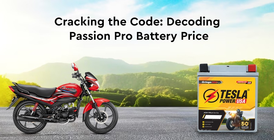 decoding-passion-pro-battery-price